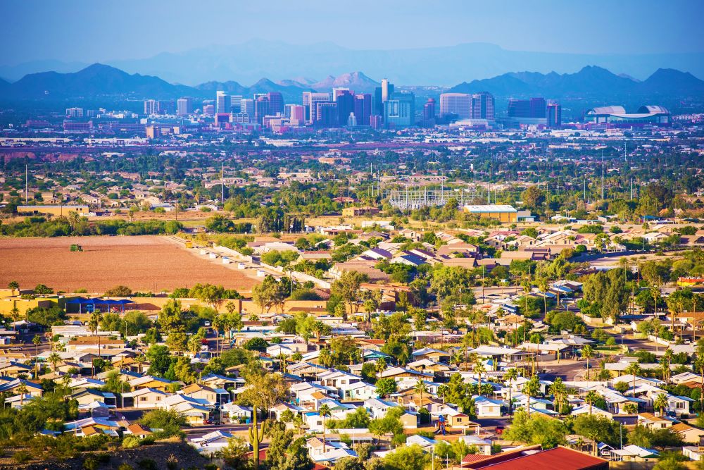 Amelia Property Management